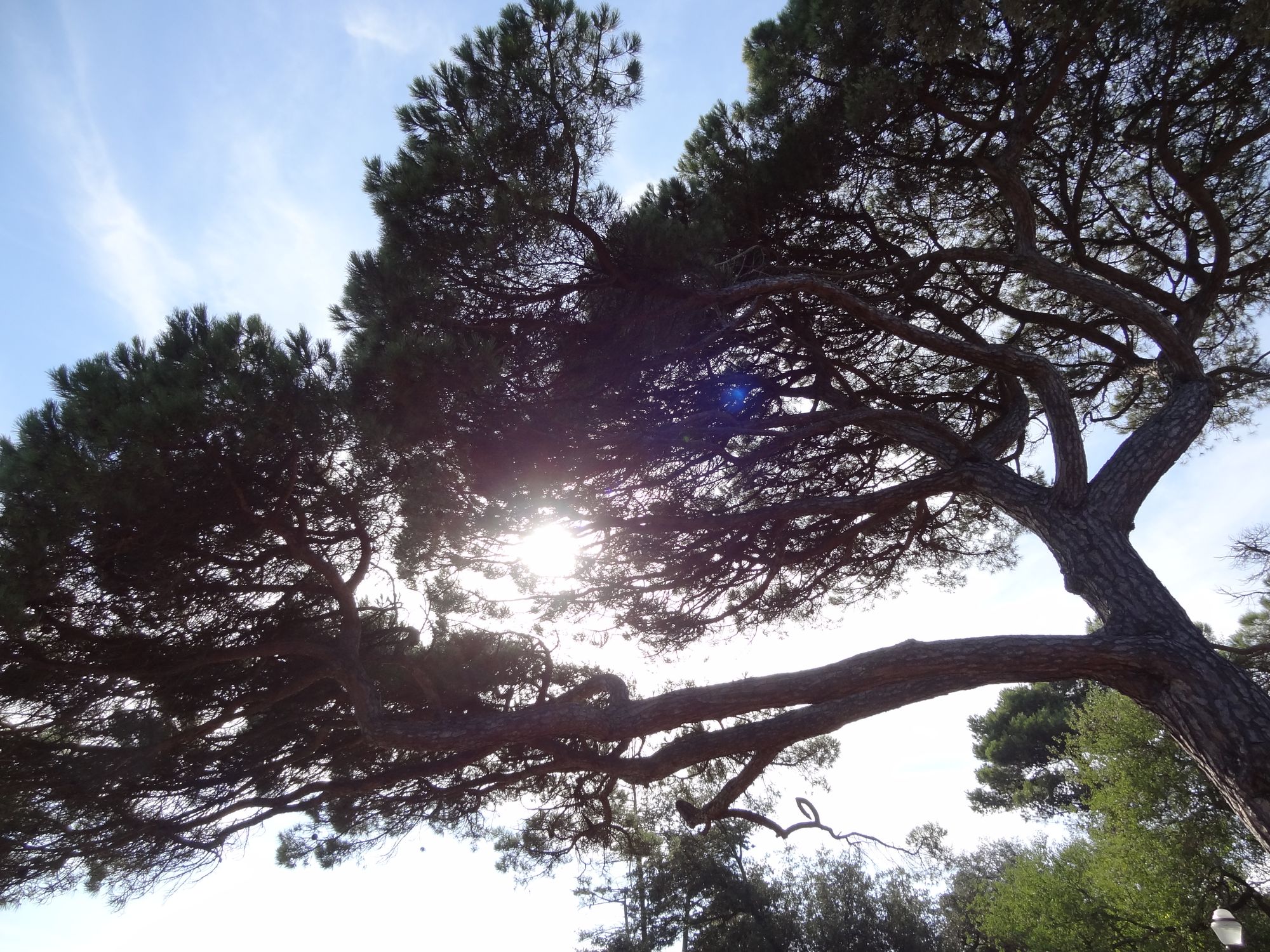 Eutopies, Solarpunk, ou la SF porteuse d'espoir